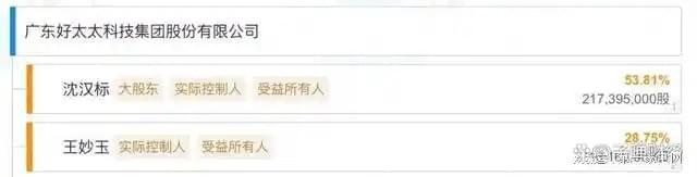 、净利下滑旗下电动晾衣机曾抽查不合格凯发一触即发好太太去年前三季度营收(图11)