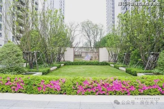 网站最新发布）中企云萃森林内幕大揭秘凯发赛事合作中企云萃森林（2025(图5)